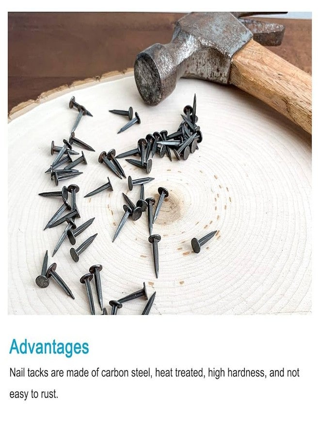 USTAD Cobbler Nails 1/2 inch For Wood, Wall, Shoes, Chappals, Furniture, Doors, Cabinets, Frame, Carpenters, DIY, Hand Craft Use (500) - Image 2